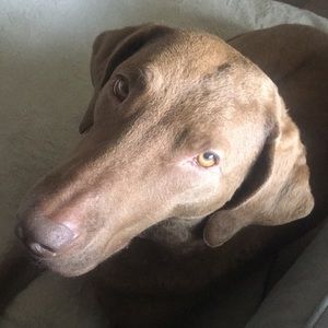 Meet your Posher, Kakathryn